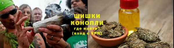 PSILOCYBIN Белокуриха